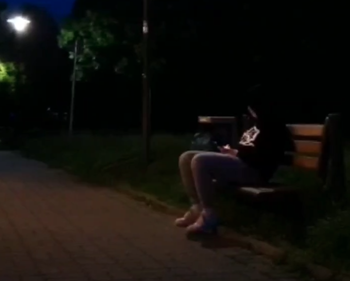 Poetry Clips zu Naturgedichten