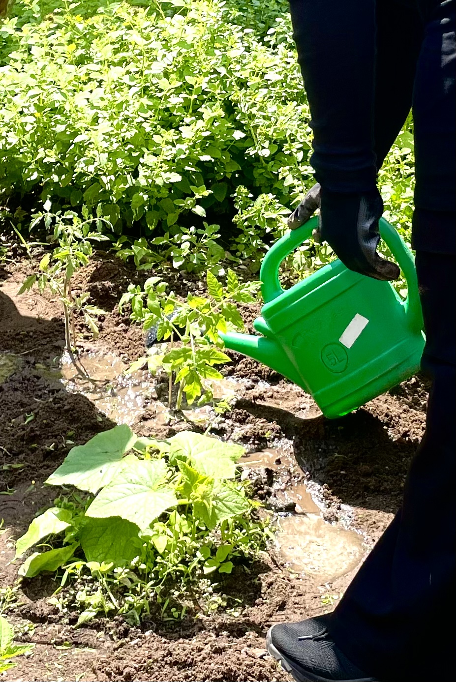 Der WPU-Kurs Spanisch Geo 9 gestaltet den Schulgarten